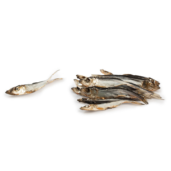Sprat fish